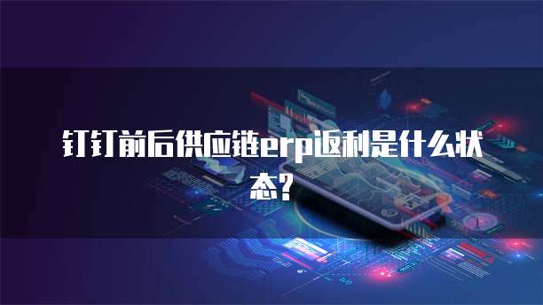 钉钉前后供应链erp返利是什么状态?