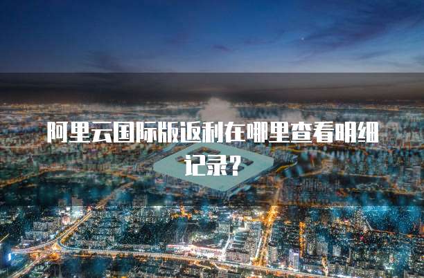 阿里云国际版返利在哪里查看明细记录?