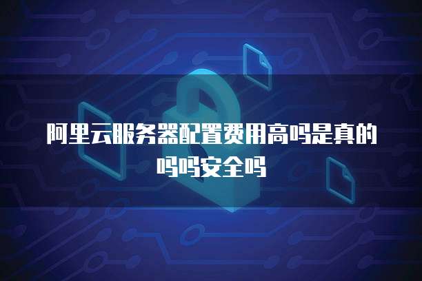 阿里云服务器配置费用高吗是真的吗吗安全吗