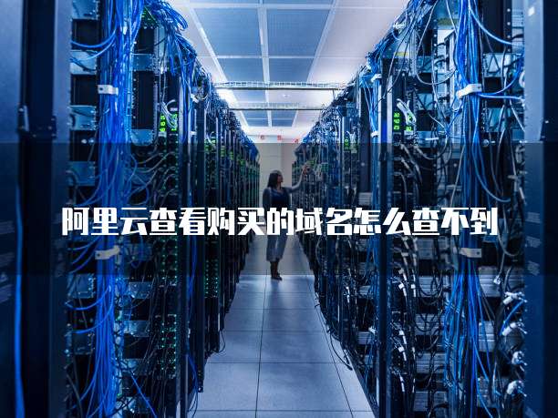 阿里云查看购买的域名怎么查不到