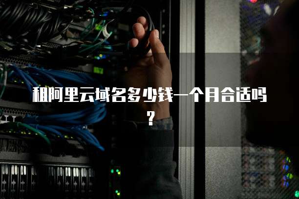 租阿里云域名多少钱一个月合适吗?
