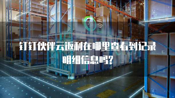 钉钉伙伴云返利在哪里查看到记录明细信息吗?