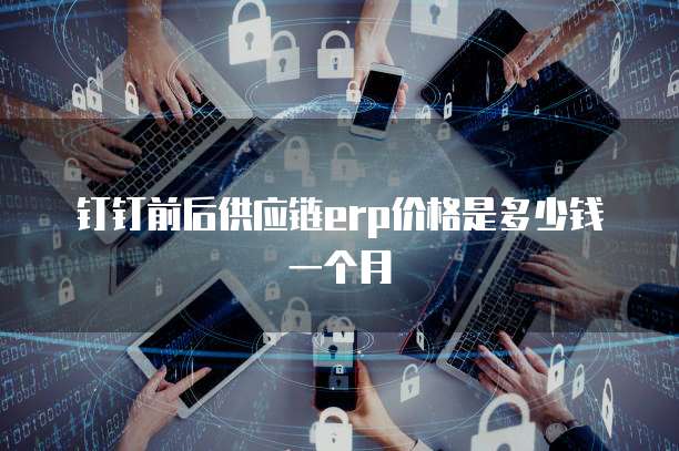 钉钉前后供应链erp价格是多少钱一个月