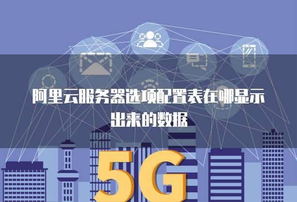阿里云服务器选项配置表在哪显示出来的数据