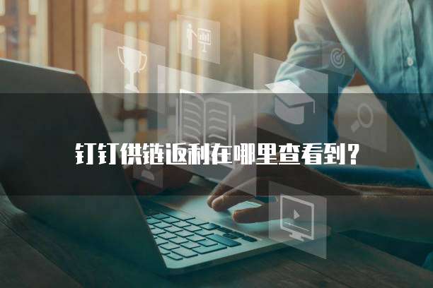 钉钉供链返利在哪里查看到?