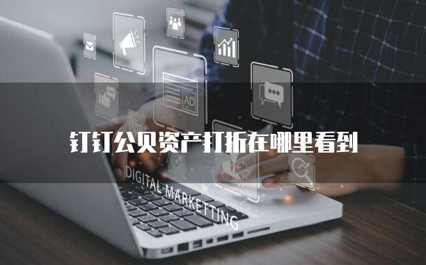 钉钉公贝资产打折在哪里看到