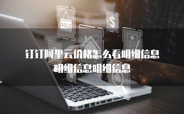 钉钉阿里云价格怎么看明细信息明细信息明细信息