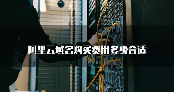 阿里云域名购买费用多少合适