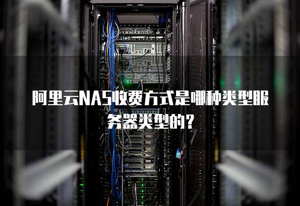 阿里云NAS收费方式是哪种类型服务器类型的？
