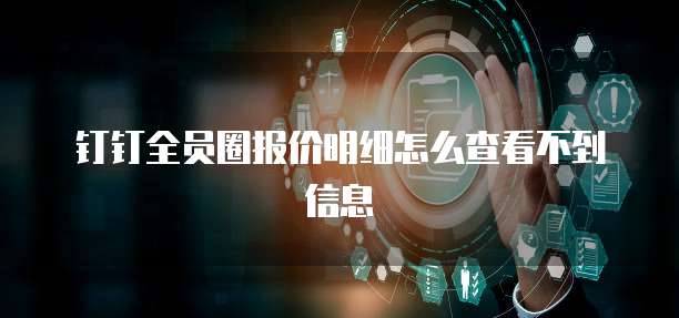 钉钉全员圈报价明细怎么查看不到信息