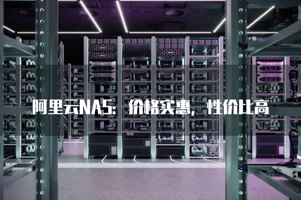 阿里云NAS:价格实惠,性价比高