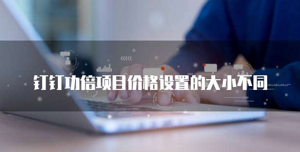 钉钉功倍项目价格设置的大小不同