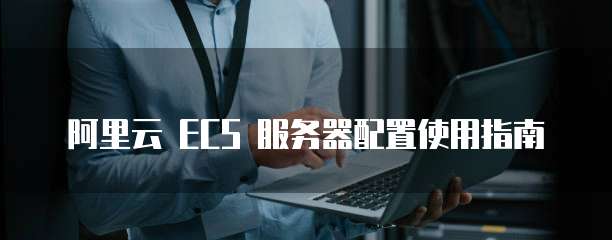 阿里云 ECS 服务器配置使用指南