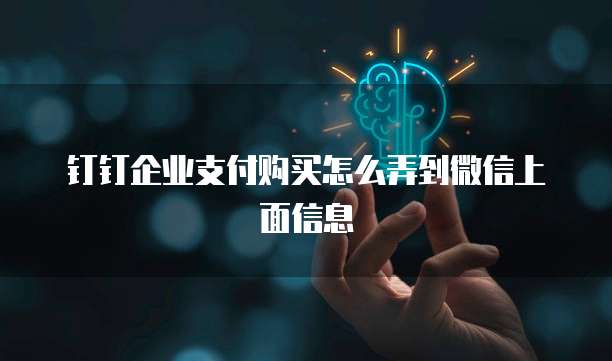 钉钉企业支付购买怎么弄到微信上面信息