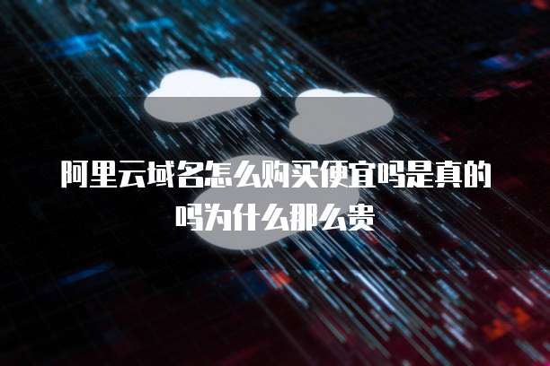 阿里云域名怎么购买便宜吗是真的吗为什么那么贵
