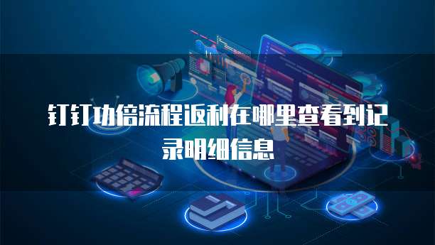 钉钉功倍流程返利在哪里查看到记录明细信息