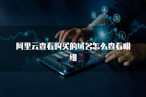 阿里云查看购买的域名怎么查看明细