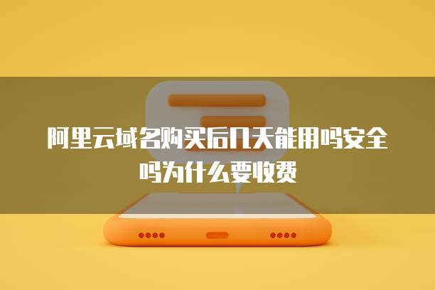 阿里云域名购买后几天能用吗安全吗为什么要收费