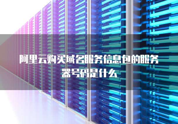 阿里云购买域名服务信息包的服务器号码是什么