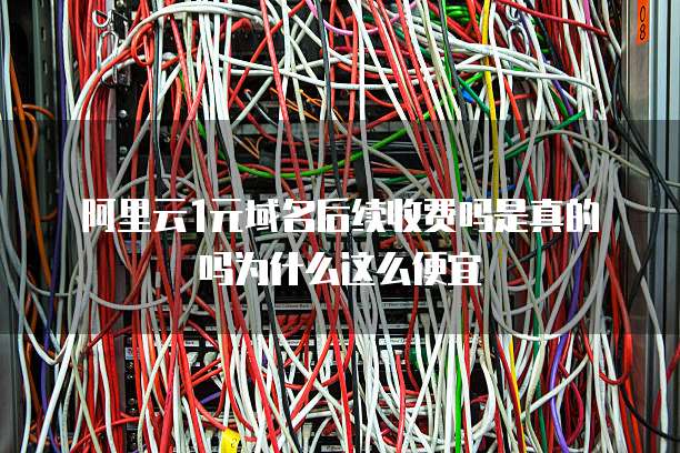 阿里云1元域名后续收费吗是真的吗为什么这么便宜