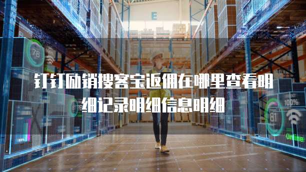 钉钉励销搜客宝返佣在哪里查看明细记录明细信息明细