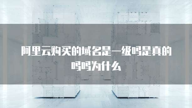 阿里云购买的域名是一级吗是真的吗吗为什么