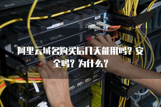 阿里云域名购买后几天能用吗?安全吗?为什么?