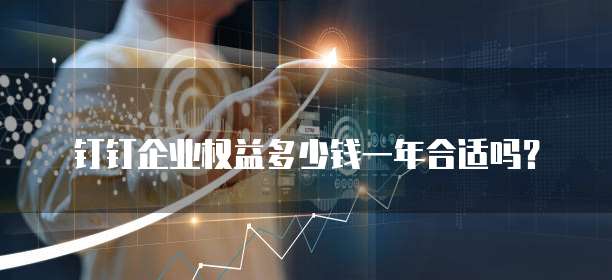 钉钉企业权益多少钱一年合适吗?