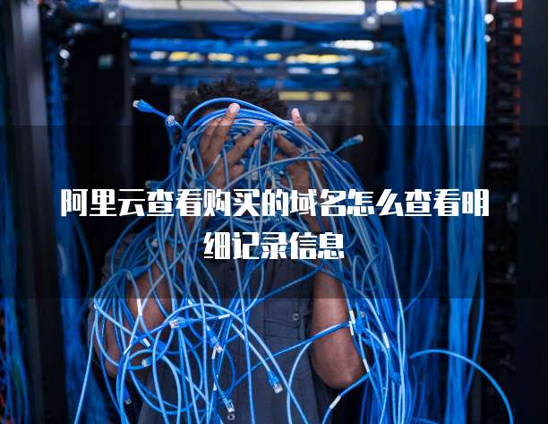 阿里云查看购买的域名怎么查看明细记录信息