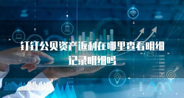 钉钉公贝资产返利在哪里查看明细记录明细吗