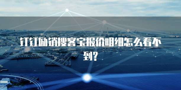 钉钉励销搜客宝报价明细怎么看不到?