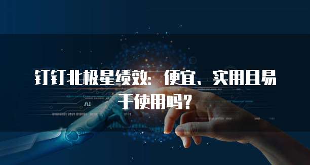 钉钉北极星绩效：便宜、实用且易于使用吗？