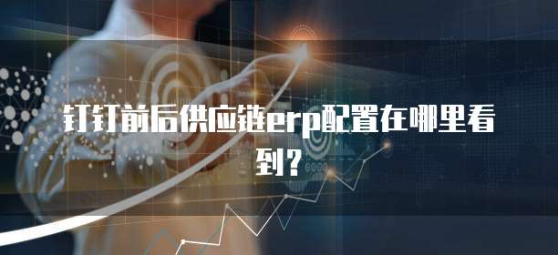 钉钉前后供应链erp配置在哪里看到?
