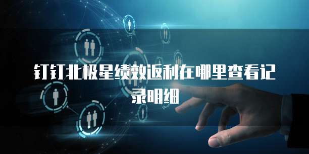 钉钉北极星绩效返利在哪里查看记录明细
