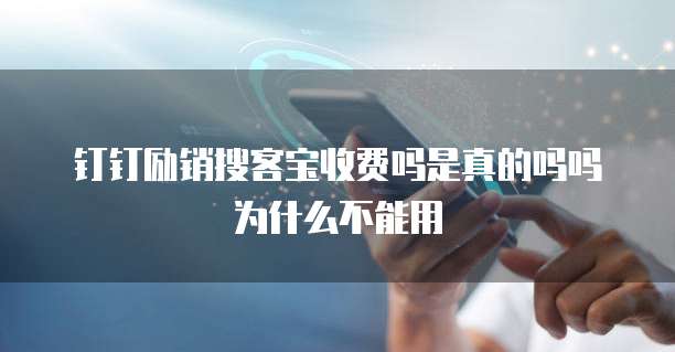 钉钉励销搜客宝收费吗是真的吗吗为什么不能用