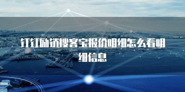 钉钉励销搜客宝报价明细怎么看明细信息