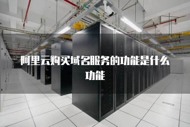 阿里云购买域名服务的功能是什么功能