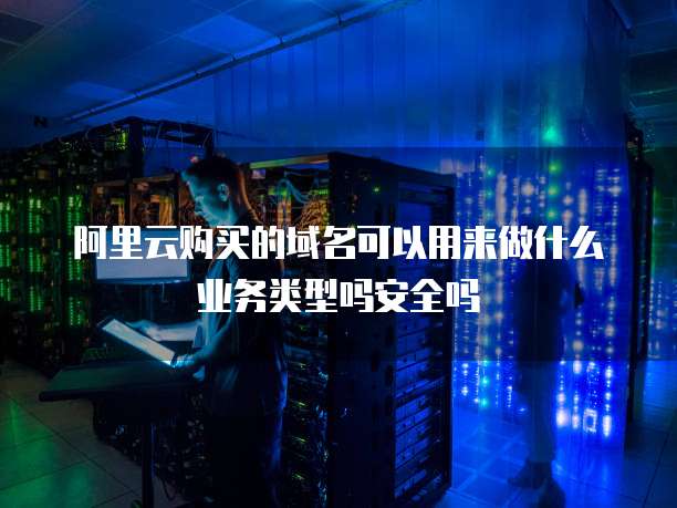 阿里云购买的域名可以用来做什么业务类型吗安全吗