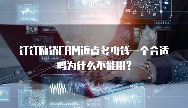 钉钉励销CRM返点多少钱一个合适吗为什么不能用?