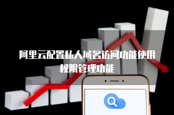 阿里云配置私人域名访问功能使用权限管理功能