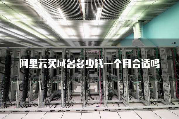 阿里云买域名多少钱一个月合适吗