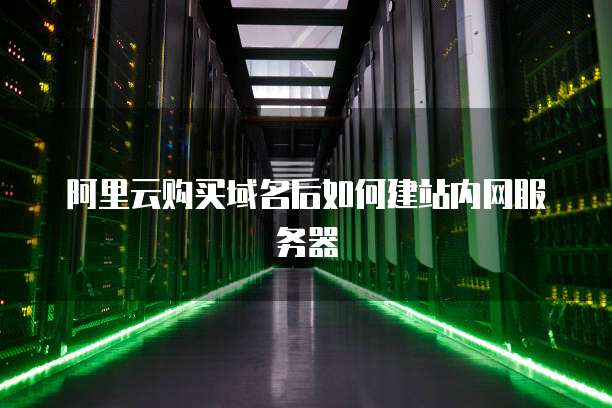 阿里云购买域名后如何建站内网服务器