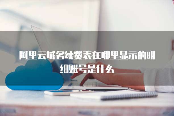 阿里云域名续费表在哪里显示的明细账号是什么