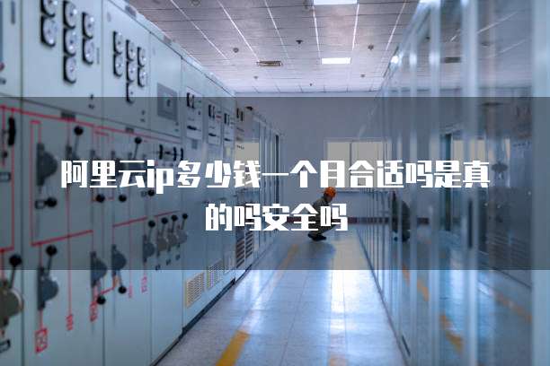 阿里云ip多少钱一个月合适吗是真的吗安全吗