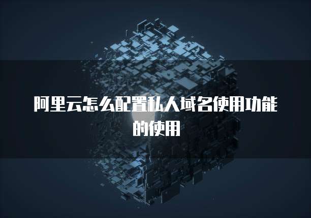 阿里云怎么配置私人域名使用功能的使用