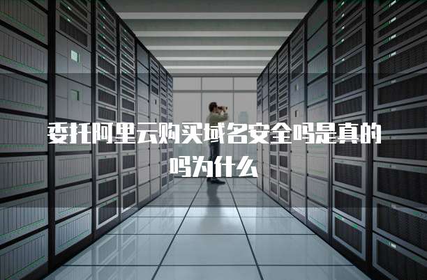 委托阿里云购买域名安全吗是真的吗为什么