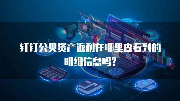 钉钉公贝资产返利在哪里查看到的明细信息吗?
