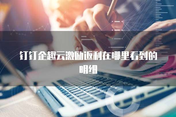 钉钉企趣云激励返利在哪里看到的明细