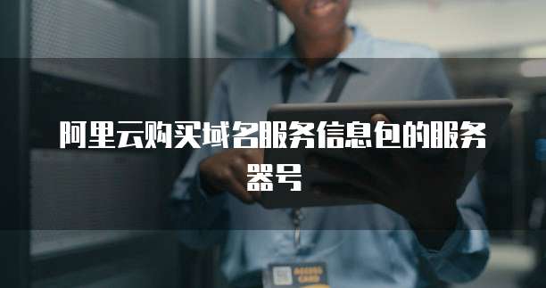 阿里云购买域名服务信息包的服务器号