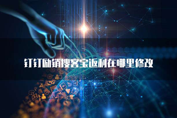 钉钉励销搜客宝返利在哪里修改